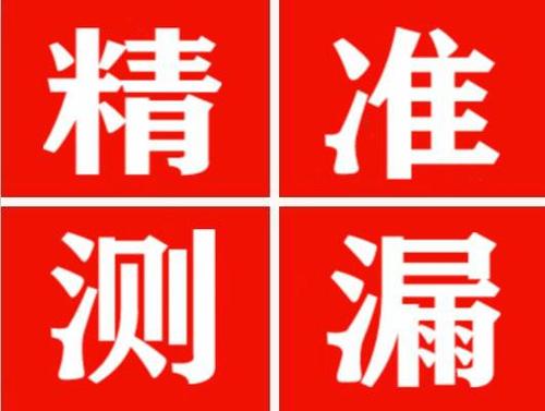 麻城尚嘉漏水精准查找